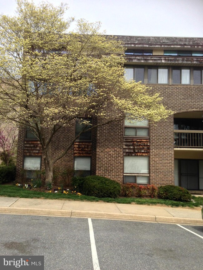 425 Christopher Ave unit T-1, Gaithersburg, MD 20879 - photo 2