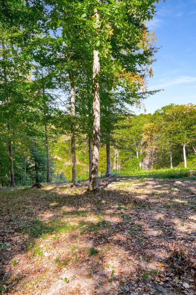 5436 Parker Branch Rd, Franklin, TN 37064 - photo 2