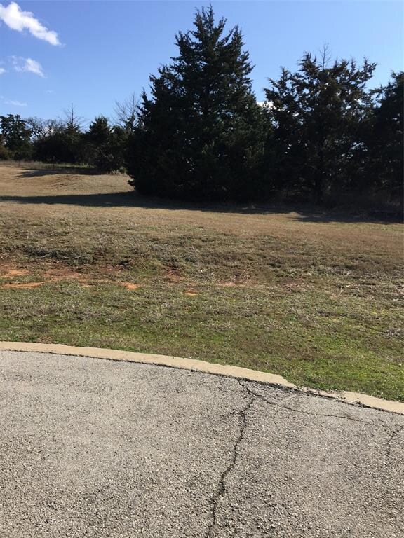 TBD L11 Meridian Ln, Gordonville, TX 76245 - photo 4