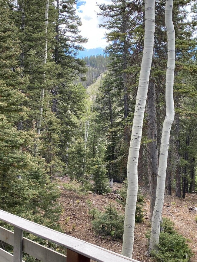 Ponderosa S W Village Cir unit 151, Beaver, UT 84713 - photo 5