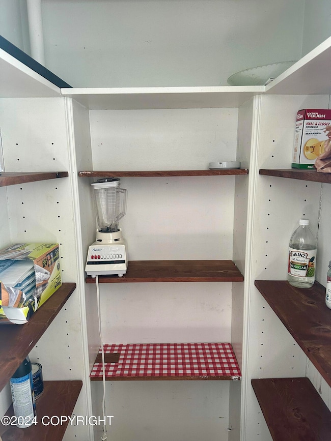 ShelvesInCloset