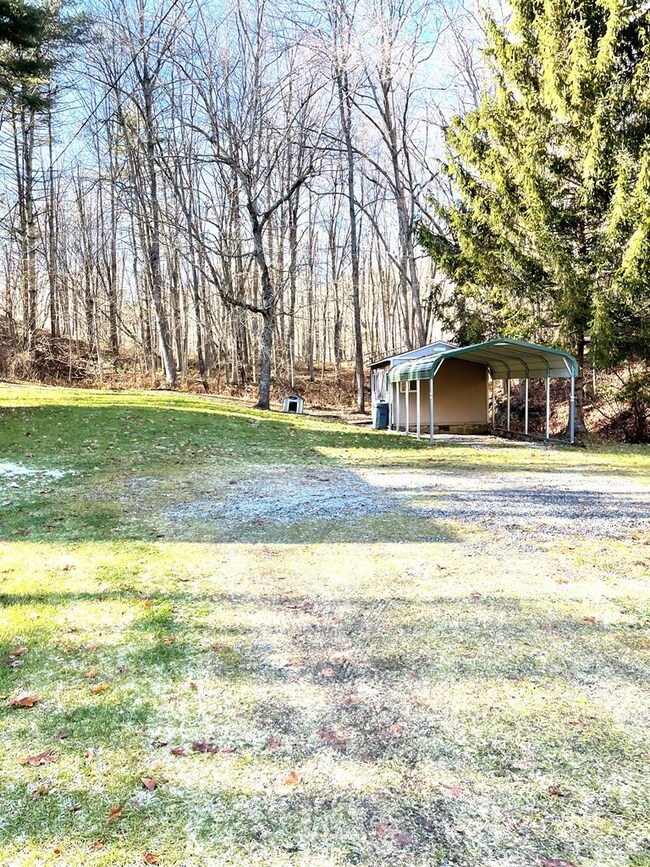 Carport and Shed