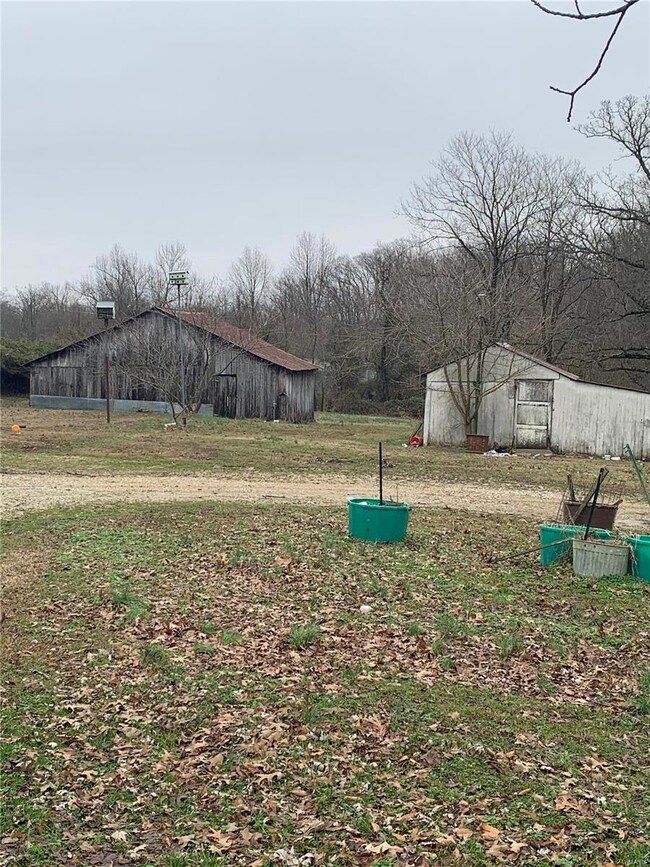 154 County Road 321, Poplar Bluff, MO 63901 - photo 6