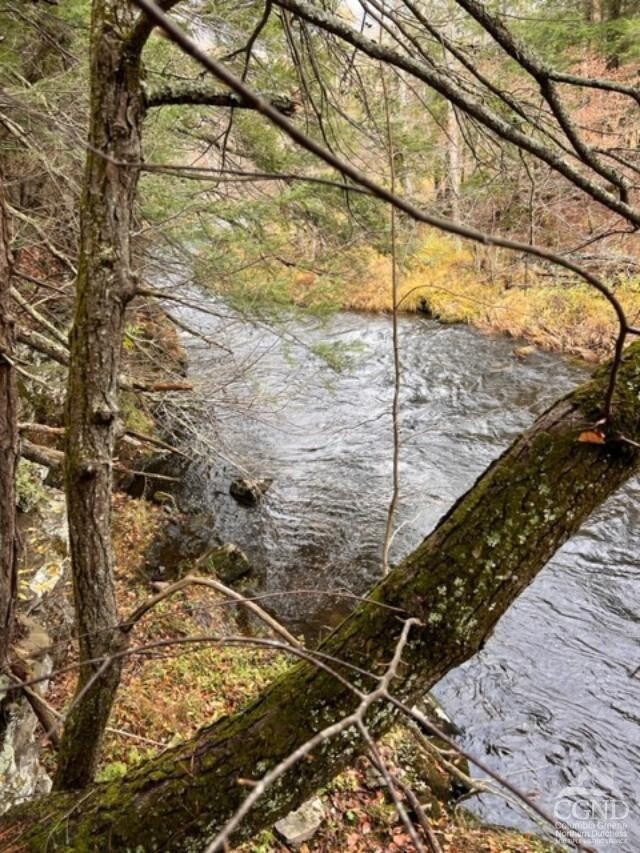 91 Laurie Ln, Cairo, NY 12058 - photo 6