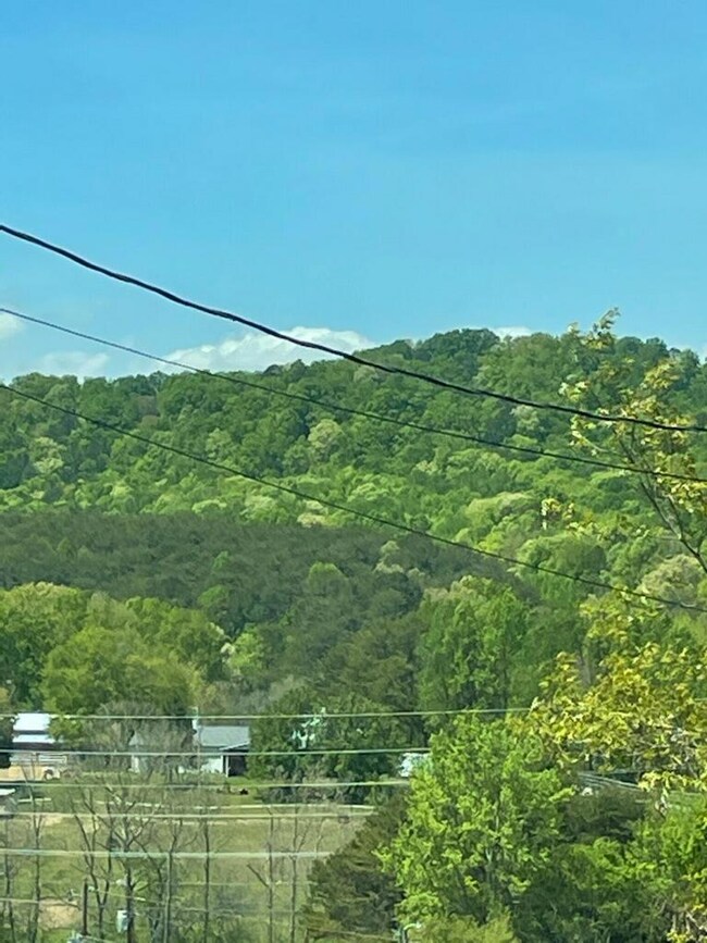 Lot 51 & 52 Cedar Ct 3