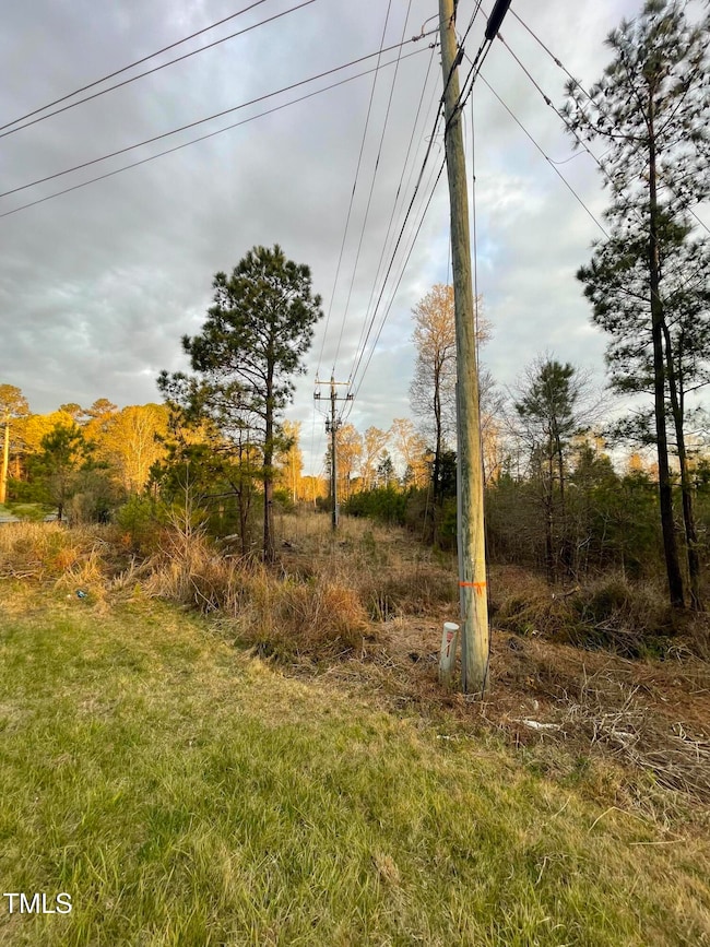 Tbd 15-501 Hwy N, Pittsboro, NC 27312 - photo 3