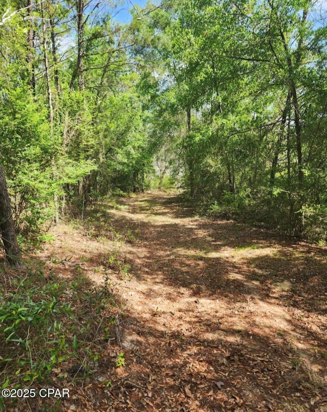 6405 Highway 77, Chipley, FL 32428 - photo 7