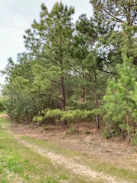 2405 Hwy 88, Hephzibah, GA 30815 - photo 3