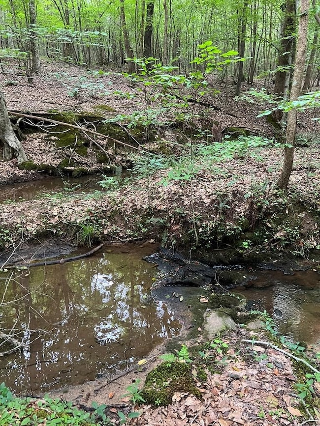 Creek