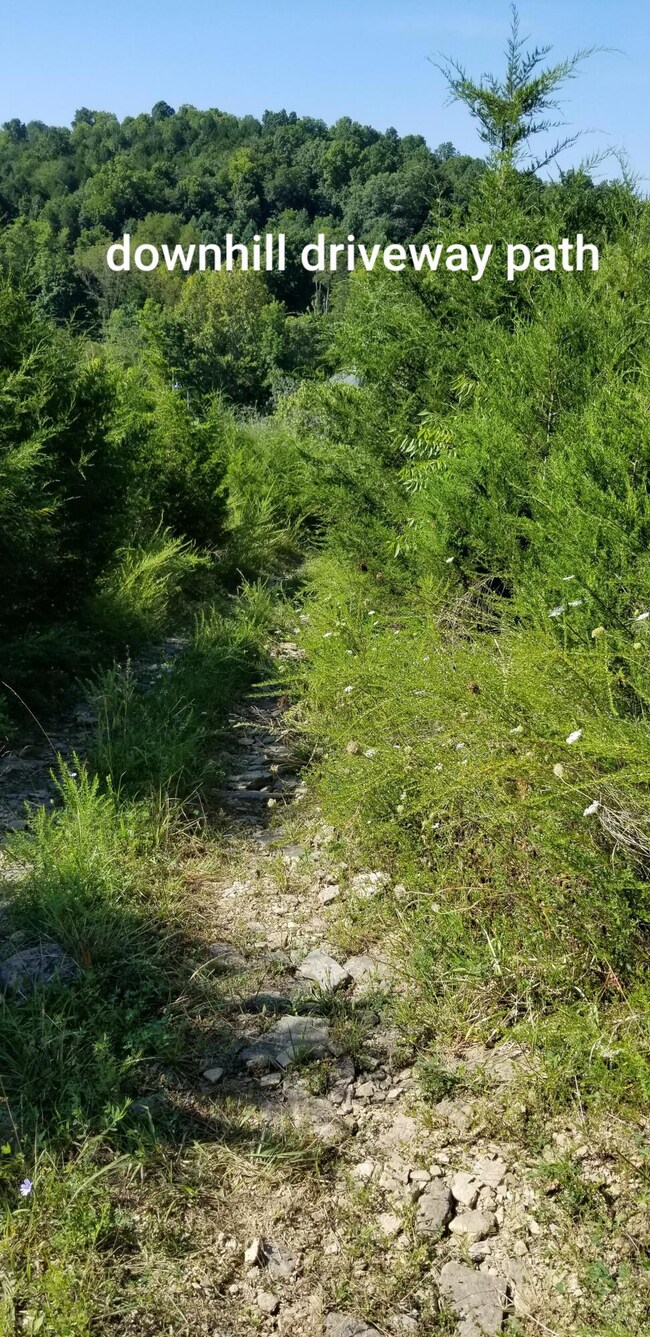 downhill driveway path