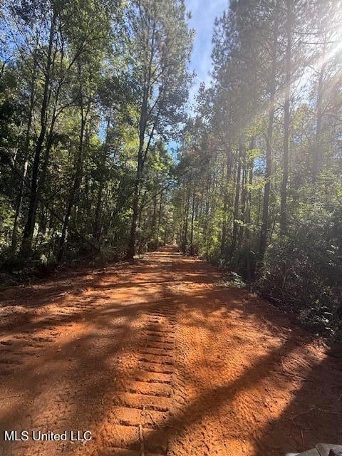 0 Centerville Rd, Osyka, MS 39657 - photo 7