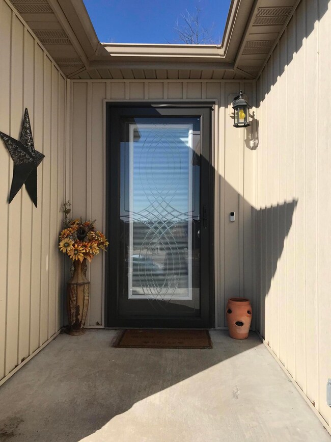 133 Thunder Ridge Ct, Branson, MO 65616 - photo 5