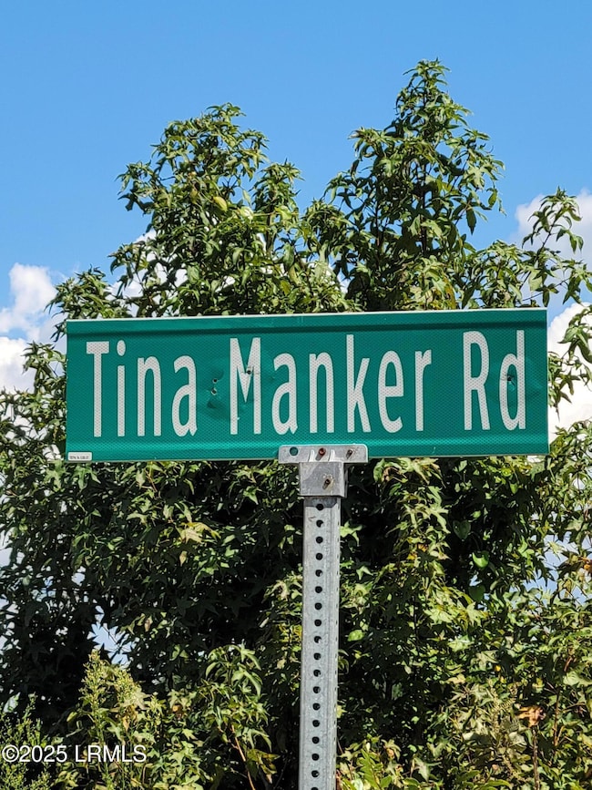 Tbd Tina Manker Rd, Ridgeland, SC 29936 - photo 3