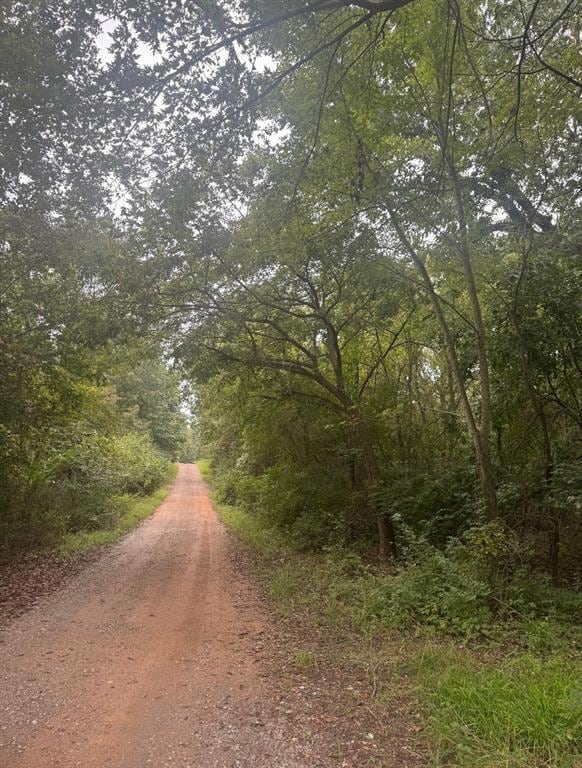 15 E Comanche St, Norman, OK 73026 - photo 3