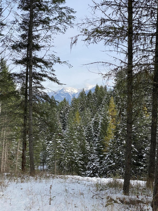 283 Belterra Ln, Big Fork, MT 59911 - photo 3