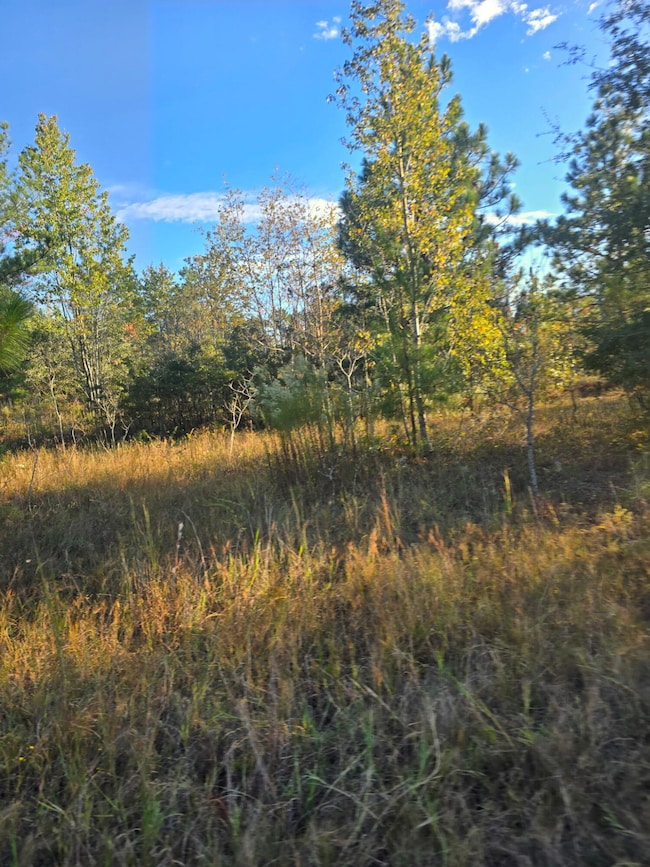 Tbd Hamilton Branch Way, Aiken, SC 29803 - photo 2