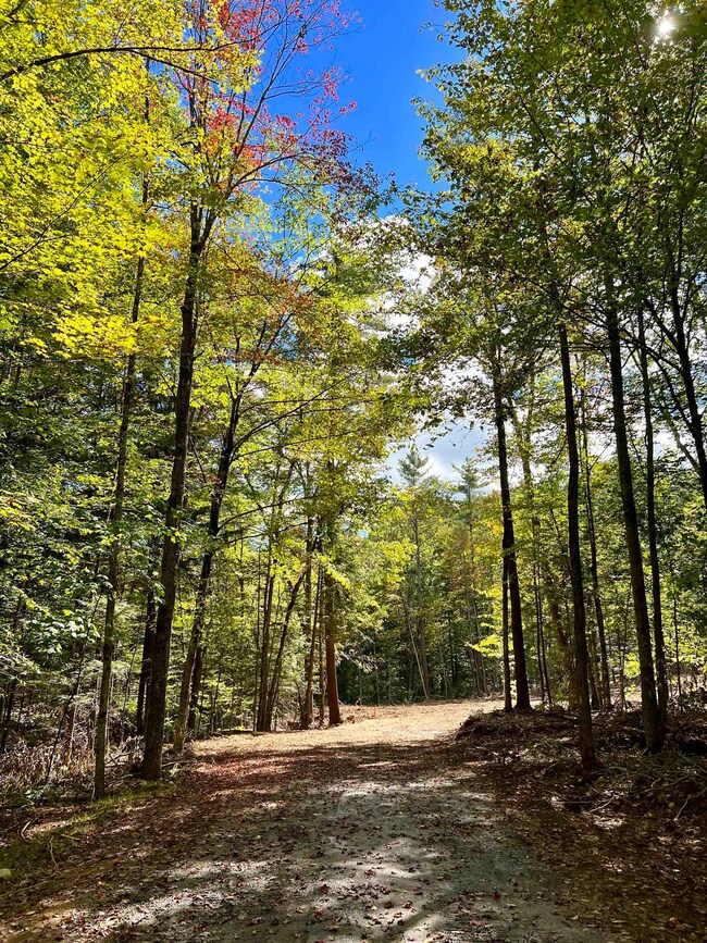 470 Daniel Webster Hwy, Plymouth, NH 03264 - photo 2