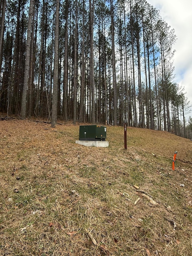 0 Birds Eye Way unit 1519145, Guild, TN 37340 - photo 2