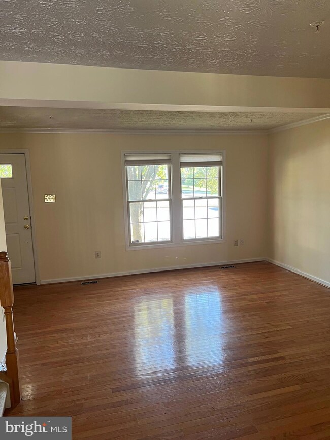 7982 Brightlight Place, Ellicott City, MD 21043 - photo 4