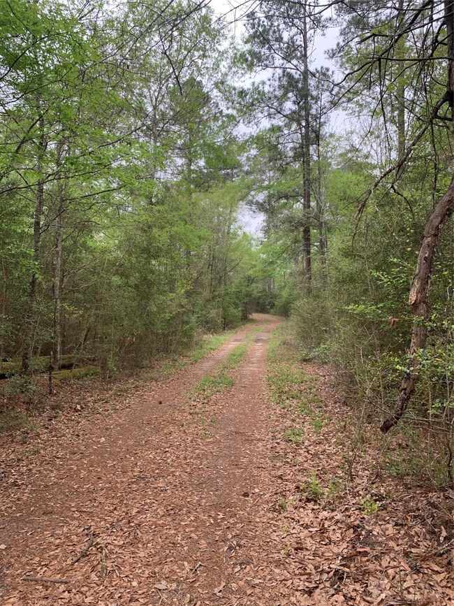 00001 Coe Loop, Magnolia, TX 77355 - photo 3