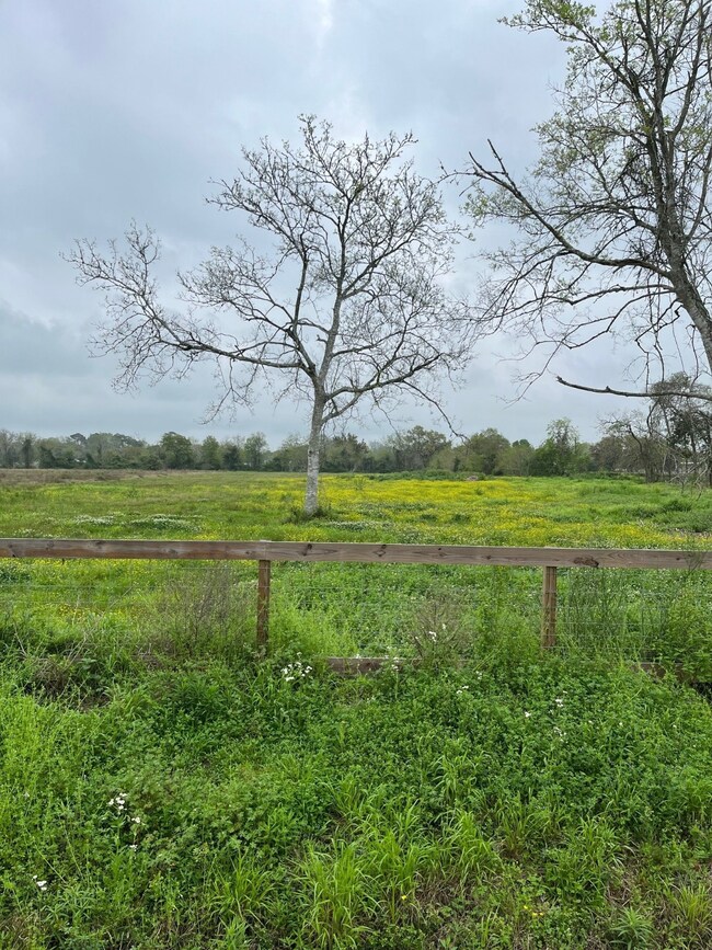 4909 Ike Franks Rd, Arcadia, TX 77517 - photo 2