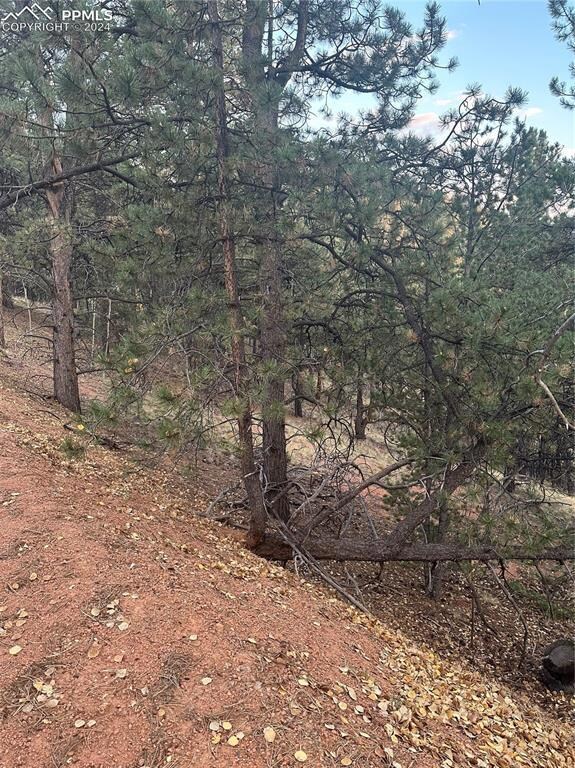 418 Valley Rd, Divide, CO 80814 - photo 2