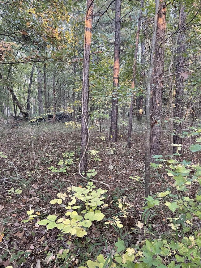 4116B U S 15, Oxford, NC 27565 - photo 3