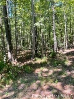 00 Line Fence Rd, York, VA 23072 - photo 2