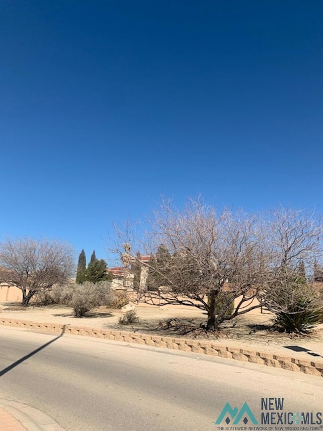 N of 701 Ridgecrest Dr, Carlsbad, NM 88220 - photo 3