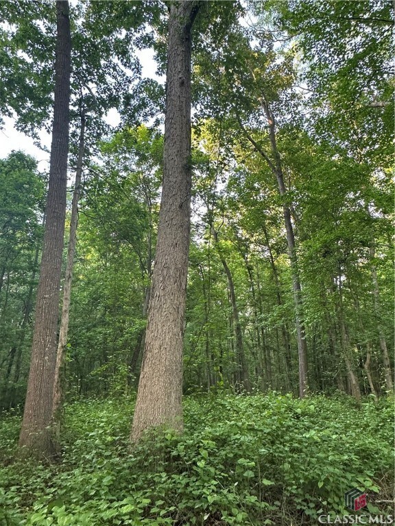 0 Hwy 106 unit 1016968, Hull, GA 30646 - photo 6