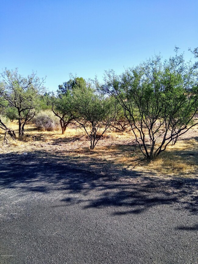 View from road