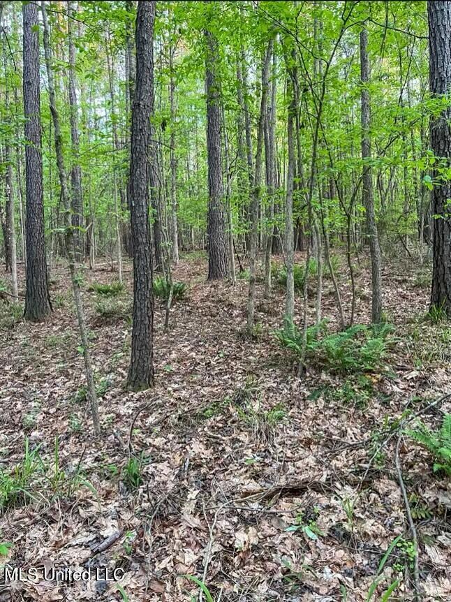 00 Ashley Rd, Brandon, MS 39042 - photo 6