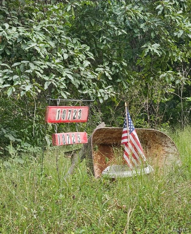 10723 Calvey Hills Rd, Catawissa, MO 63015 - photo 3