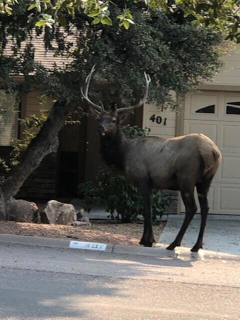 One of the Neighbors