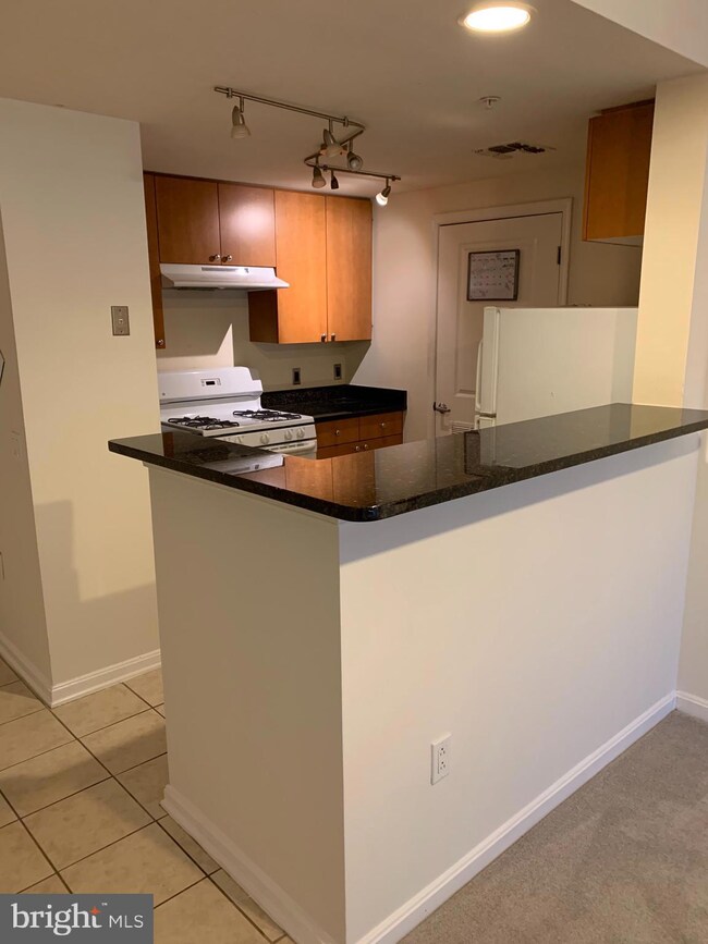 The Crescent unit 506, Silver Spring, MD 20910 - photo 3