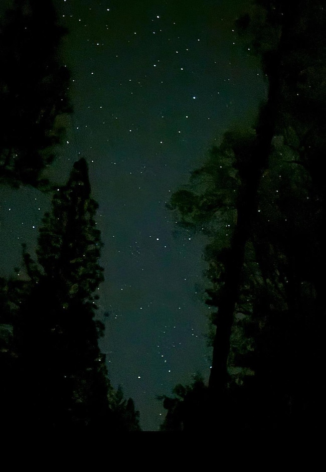 18488 Ponderosa Annex Rd, Sutter Creek, CA 95685 - photo 2