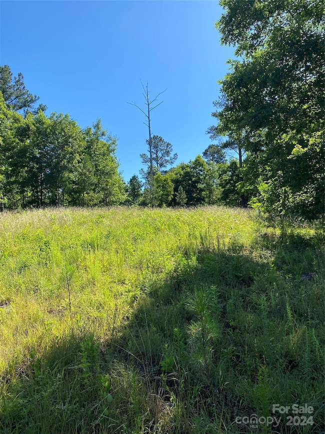 2108 Island View Ln NE, Connelly Spring, NC 28612 - photo 4