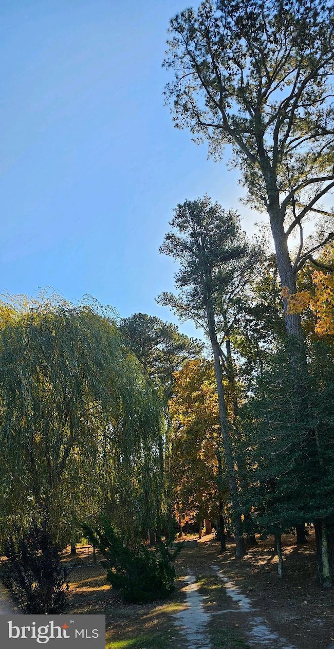 5 and 7 Woodland Ave, Ocean View, DE 19970 - photo 4