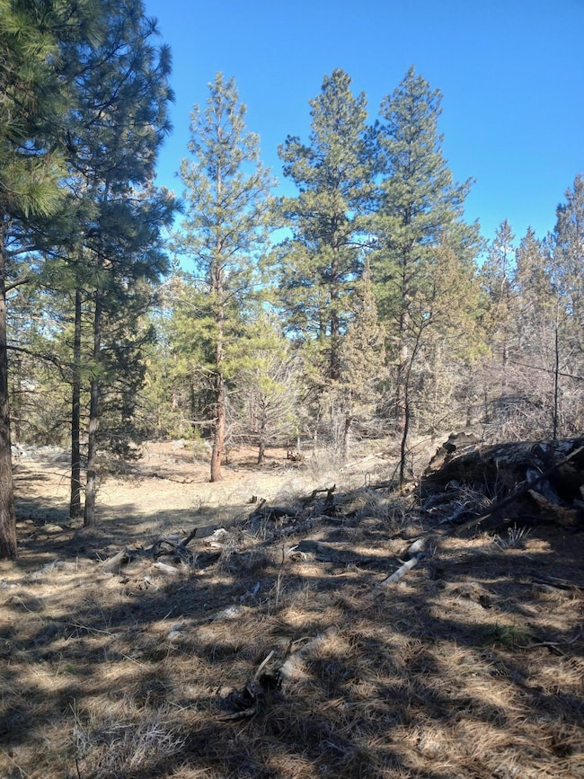 0 Drews Rd unit 220198278, Beatty, OR 97621 - photo 7