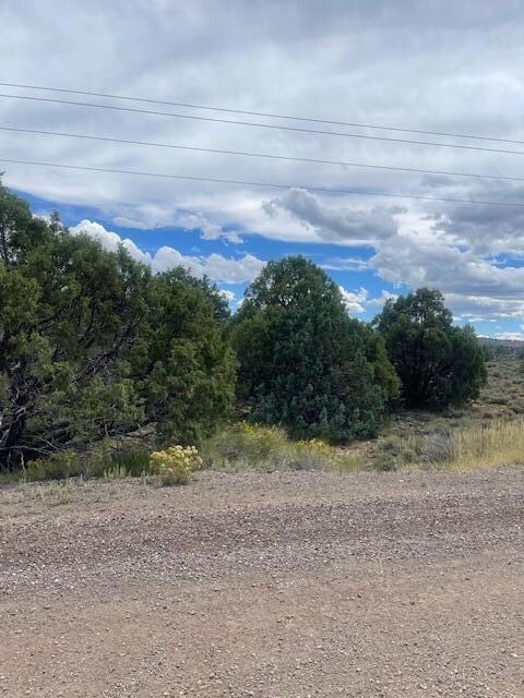 1091 S Old Us Hwy 89, Hatch, UT 84735 - photo 6