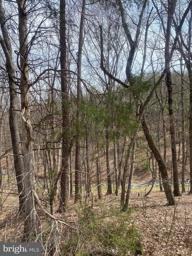 TBD Anderson, Basye, VA 22810 - photo 2