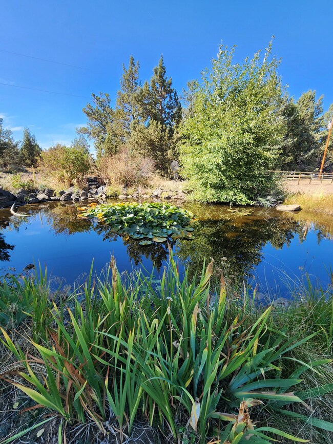 18625 Couch Market Rd, Bend, OR 97701 - photo 3