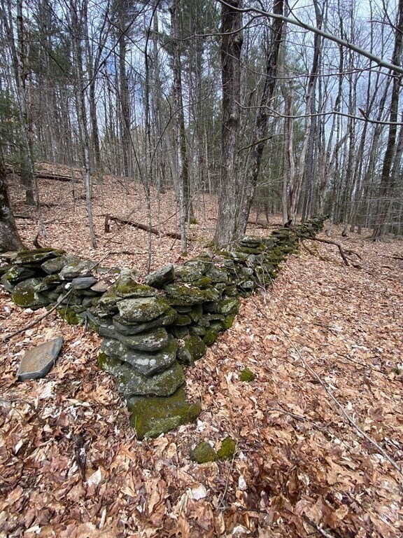 0 Stage Rd unit 72973282, Cummington, MA 01026 - photo 5
