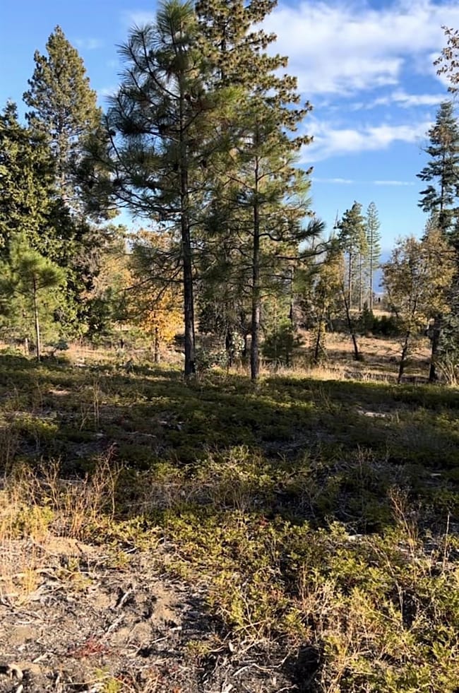 0 Shaver Lake unit 640388, Auberry, CA 93602 - photo 4