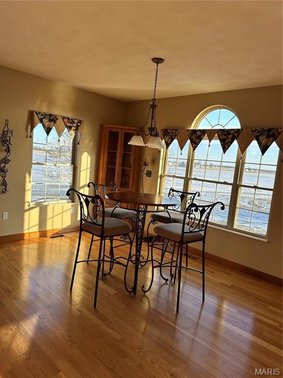 4551 Klein Rd, Waterloo, IL 62298 - photo 6