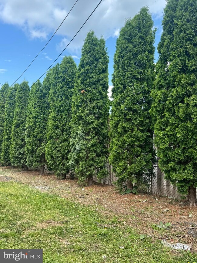 642 Brookline St, Reading, PA 19611 - photo 5