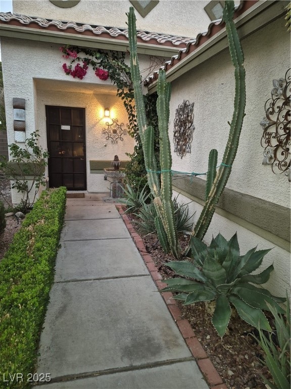 Property entrance featuring stucco siding and a tile roof