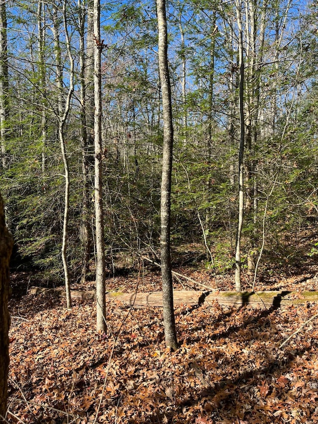 5 Hendon Rd, Graysville, TN 37338 - photo 6