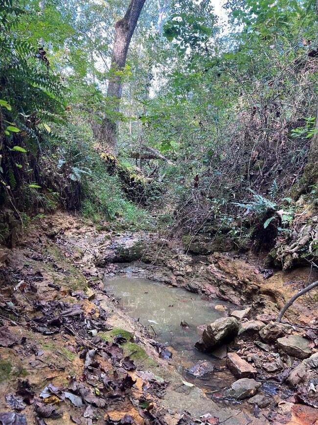 130 Swallows Ln, Cookeville, TN 38506 - photo 6