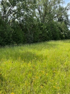 TBD County Road 2610, Tenn Colony, TX 75861 - photo 2